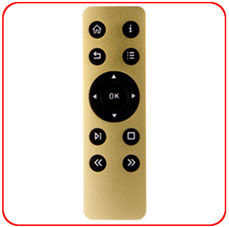 SL313A Metal Infrared Remote - Gold Case Sample